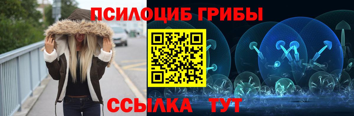 Галлюциногенные грибы Psilocybine cubensis  Вход с VPN  Томск  Псилоцибиновые грибы Psilocybine cubensis 